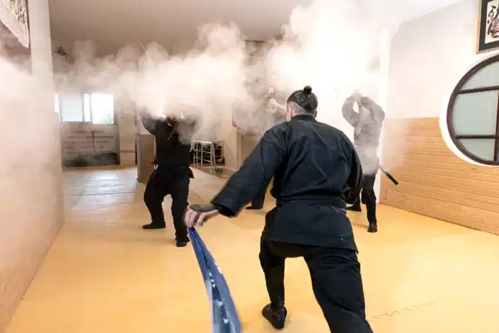 ninja-ve-golge-sanati-kitap-1